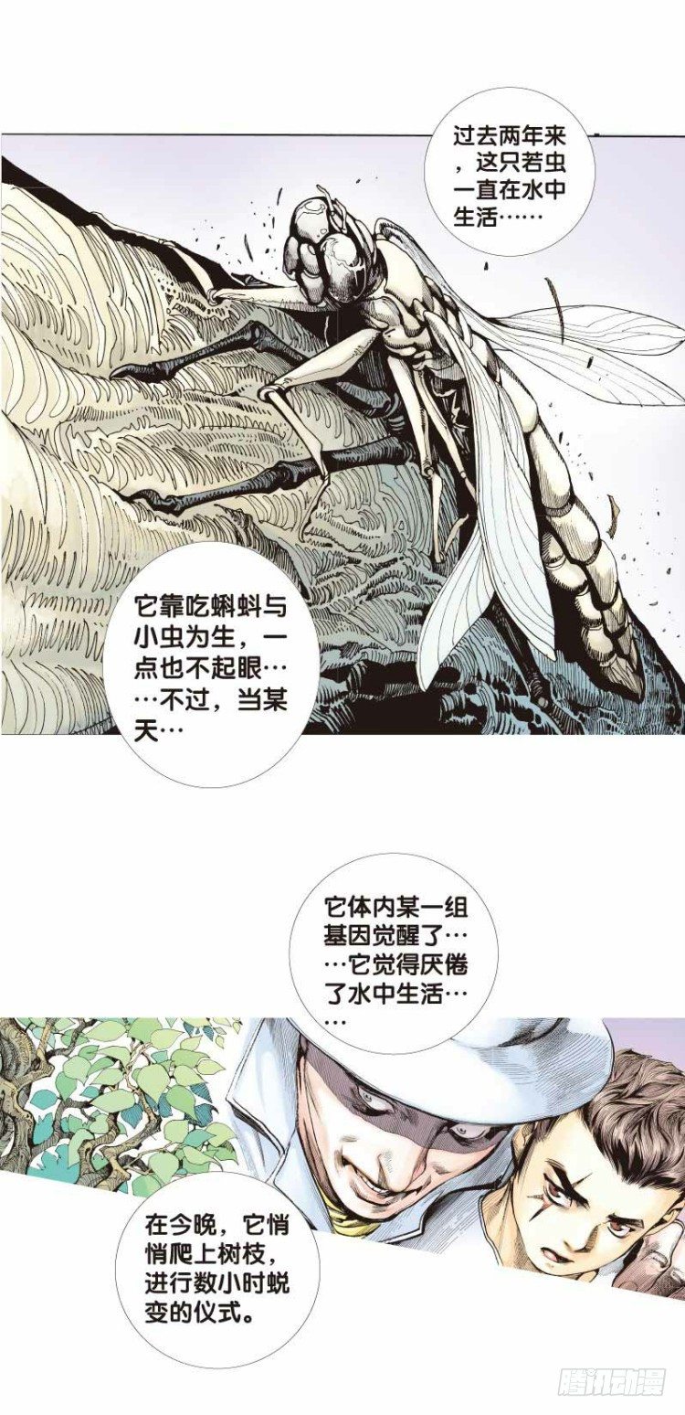 杀道行者韩漫全集-第二十六回：阿信的梦（三）无删减无遮挡章节图片 