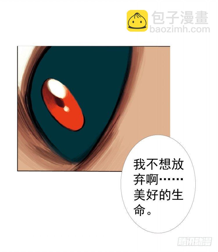 杀道行者韩漫全集-第312话：终结者（上）无删减无遮挡章节图片 