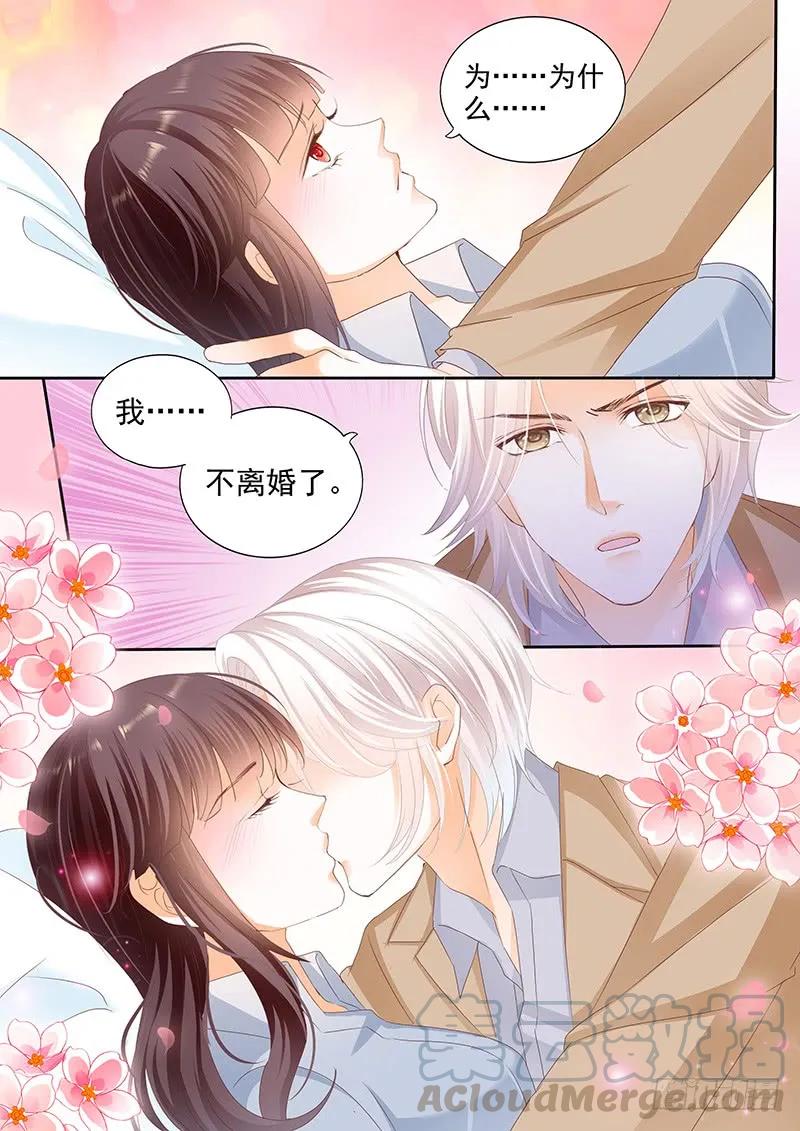 闪婚娇妻韩漫全集-我不会和你离婚无删减无遮挡章节图片 