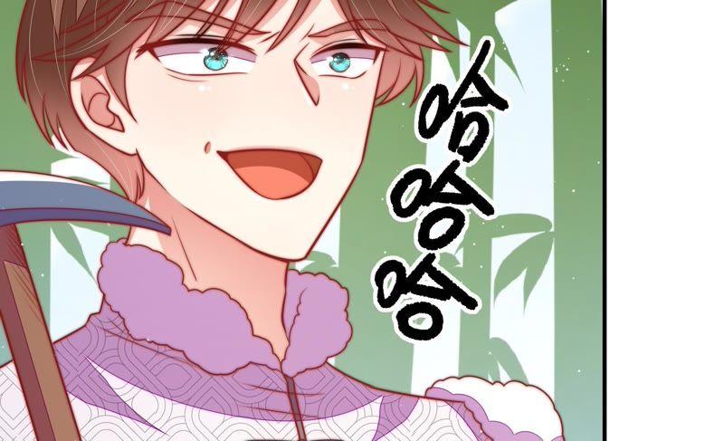 少帅每天都在吃醋韩漫全集-第105话 冤有头债有主无删减无遮挡章节图片 