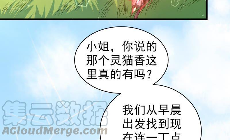 少帅每天都在吃醋韩漫全集-第120话 灵猫香无删减无遮挡章节图片 
