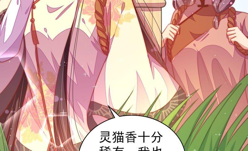 少帅每天都在吃醋韩漫全集-第120话 灵猫香无删减无遮挡章节图片 