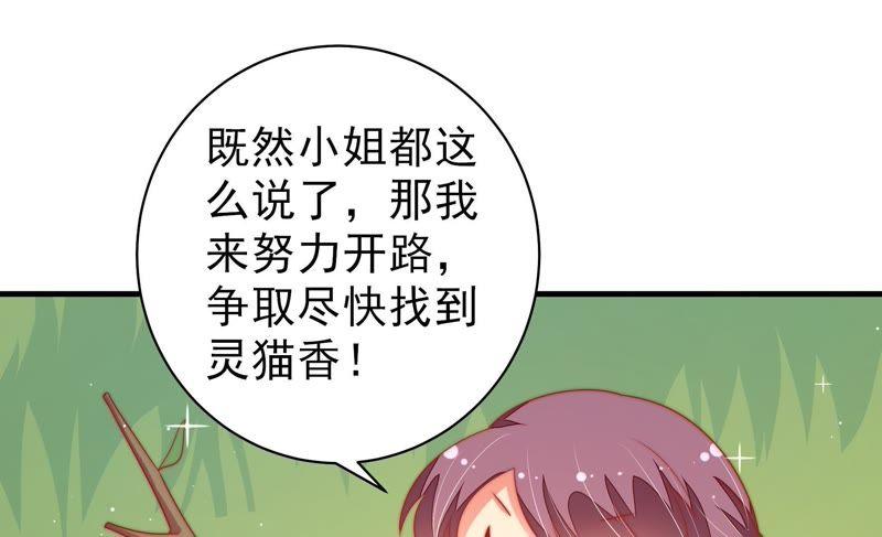 少帅每天都在吃醋韩漫全集-第120话 灵猫香无删减无遮挡章节图片 