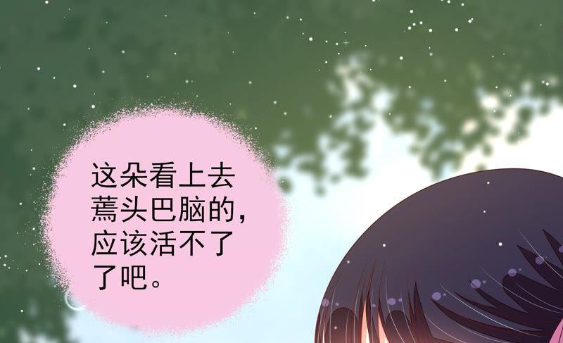 少帅每天都在吃醋韩漫全集-第194话 诅咒（上）无删减无遮挡章节图片 