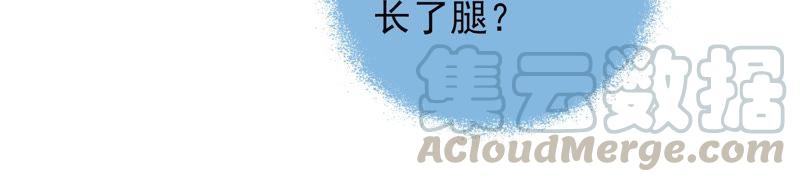少帅每天都在吃醋韩漫全集-第57话 共枕眠无删减无遮挡章节图片 