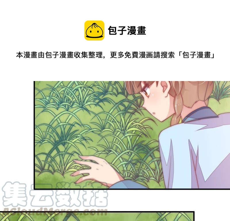 少帅每天都在吃醋韩漫全集-第66话 楚南风无删减无遮挡章节图片 