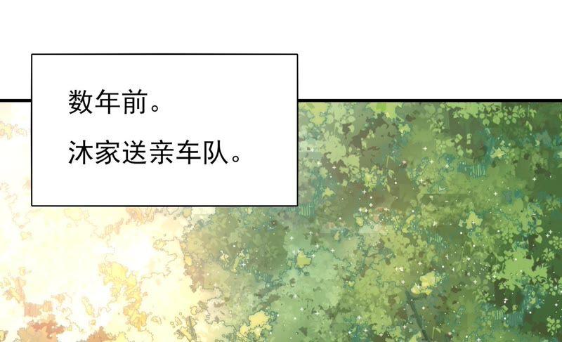少帅每天都在吃醋韩漫全集-第66话 楚南风无删减无遮挡章节图片 