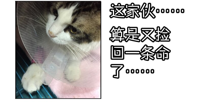 杀手古德韩漫全集-900 九百话纪念无删减无遮挡章节图片 