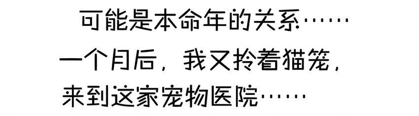 杀手古德韩漫全集-900 九百话纪念无删减无遮挡章节图片 