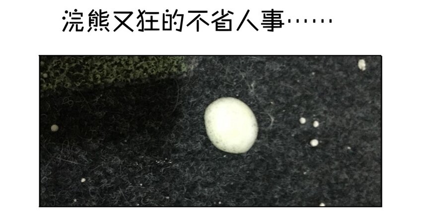 杀手古德韩漫全集-900 九百话纪念无删减无遮挡章节图片 