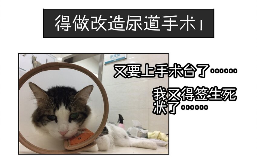 杀手古德韩漫全集-900 九百话纪念无删减无遮挡章节图片 