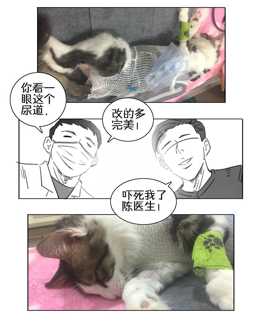 杀手古德韩漫全集-900 九百话纪念无删减无遮挡章节图片 