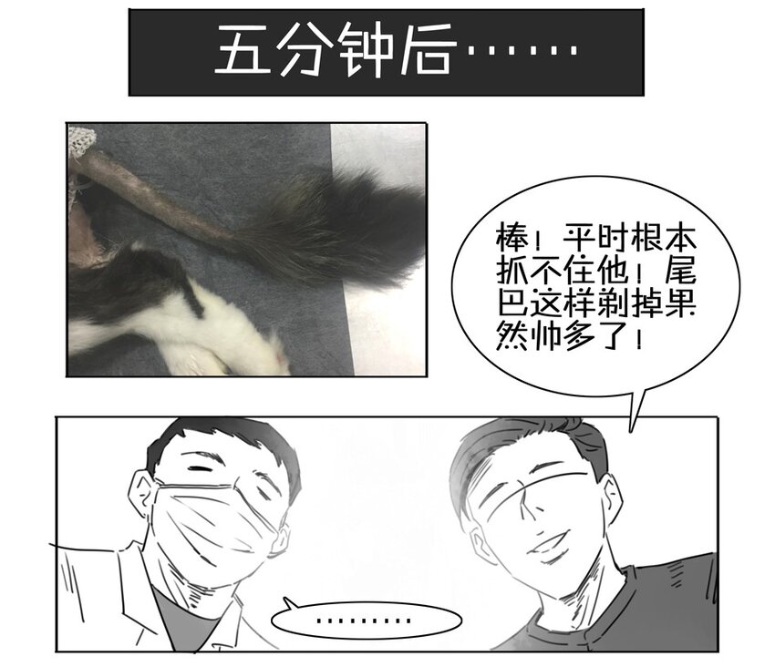 杀手古德韩漫全集-900 九百话纪念无删减无遮挡章节图片 