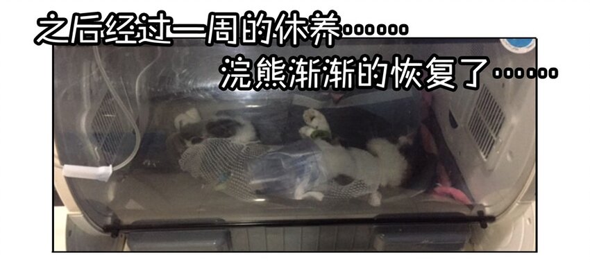 杀手古德韩漫全集-900 九百话纪念无删减无遮挡章节图片 