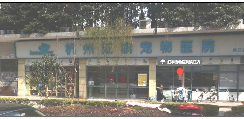 杀手古德韩漫全集-900 九百话纪念无删减无遮挡章节图片 