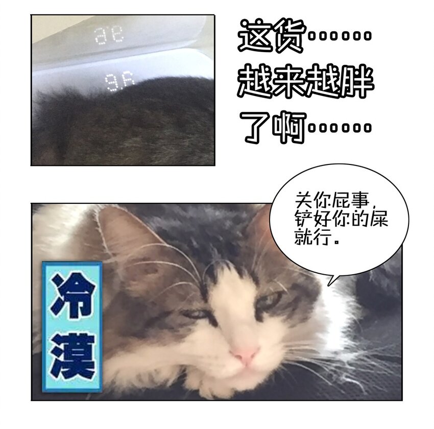 杀手古德韩漫全集-900 九百话纪念无删减无遮挡章节图片 