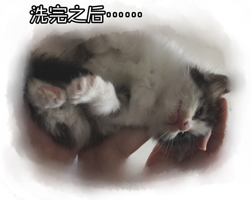 杀手古德韩漫全集-900 九百话纪念无删减无遮挡章节图片 