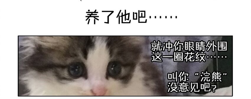 杀手古德韩漫全集-900 九百话纪念无删减无遮挡章节图片 