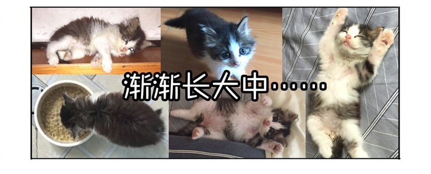 杀手古德韩漫全集-900 九百话纪念无删减无遮挡章节图片 