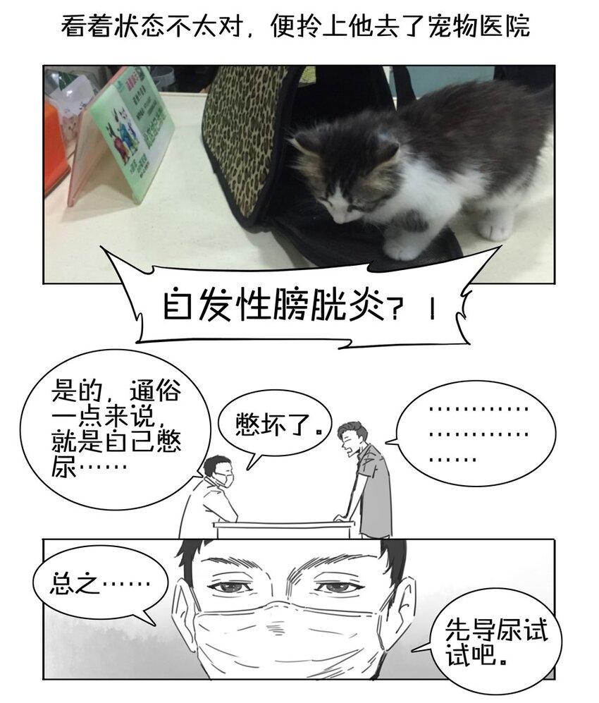杀手古德韩漫全集-900 九百话纪念无删减无遮挡章节图片 
