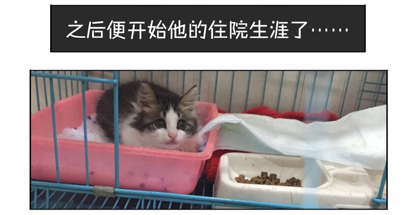 杀手古德韩漫全集-900 九百话纪念无删减无遮挡章节图片 