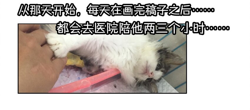 杀手古德韩漫全集-900 九百话纪念无删减无遮挡章节图片 