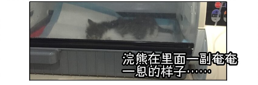 杀手古德韩漫全集-900 九百话纪念无删减无遮挡章节图片 