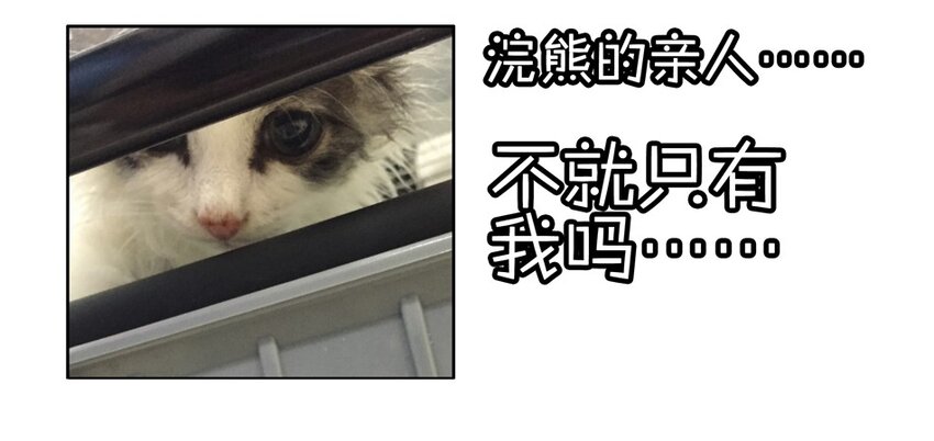杀手古德韩漫全集-900 九百话纪念无删减无遮挡章节图片 