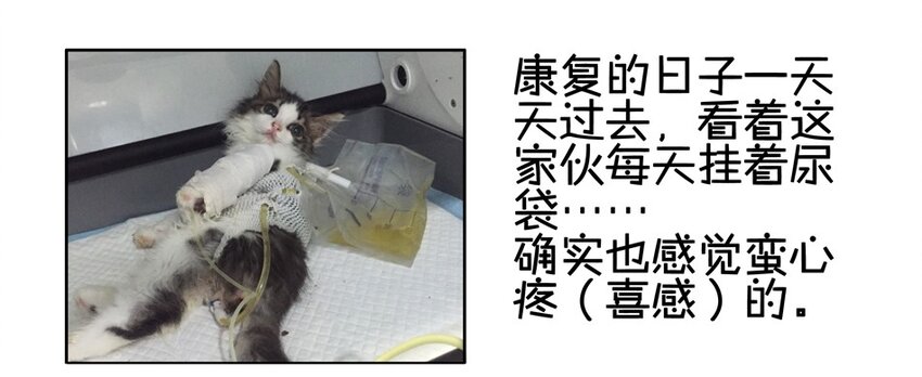 杀手古德韩漫全集-900 九百话纪念无删减无遮挡章节图片 