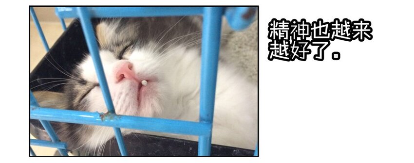 杀手古德韩漫全集-900 九百话纪念无删减无遮挡章节图片 