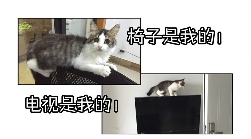 杀手古德韩漫全集-900 九百话纪念无删减无遮挡章节图片 