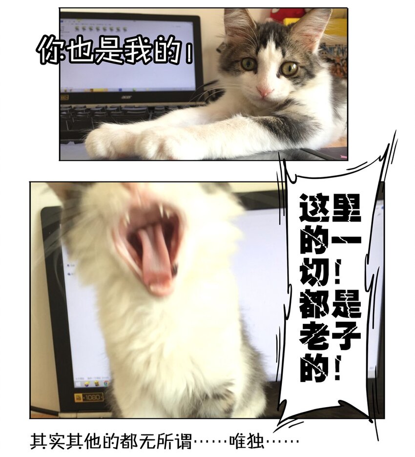 杀手古德韩漫全集-900 九百话纪念无删减无遮挡章节图片 