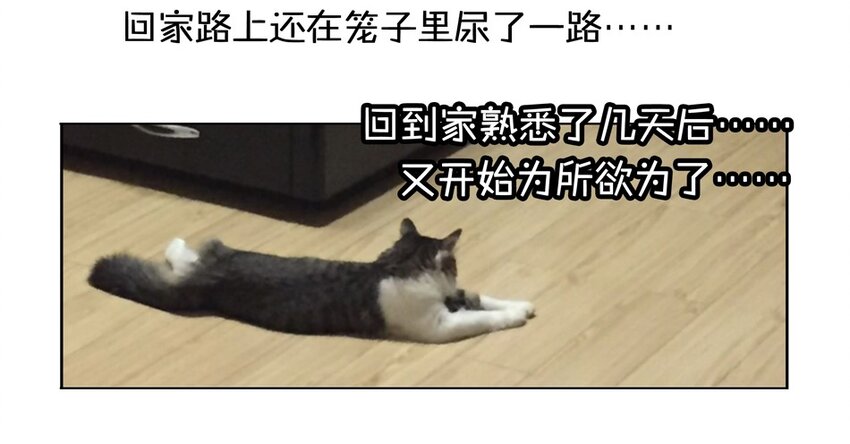 杀手古德韩漫全集-900 九百话纪念无删减无遮挡章节图片 