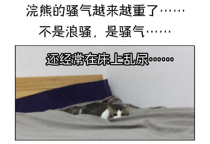 杀手古德韩漫全集-900 九百话纪念无删减无遮挡章节图片 