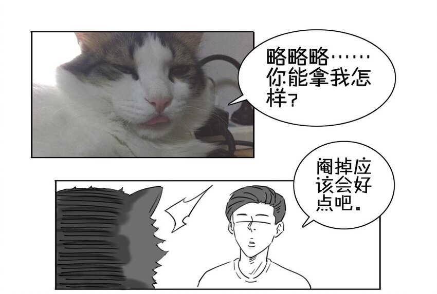 杀手古德韩漫全集-900 九百话纪念无删减无遮挡章节图片 