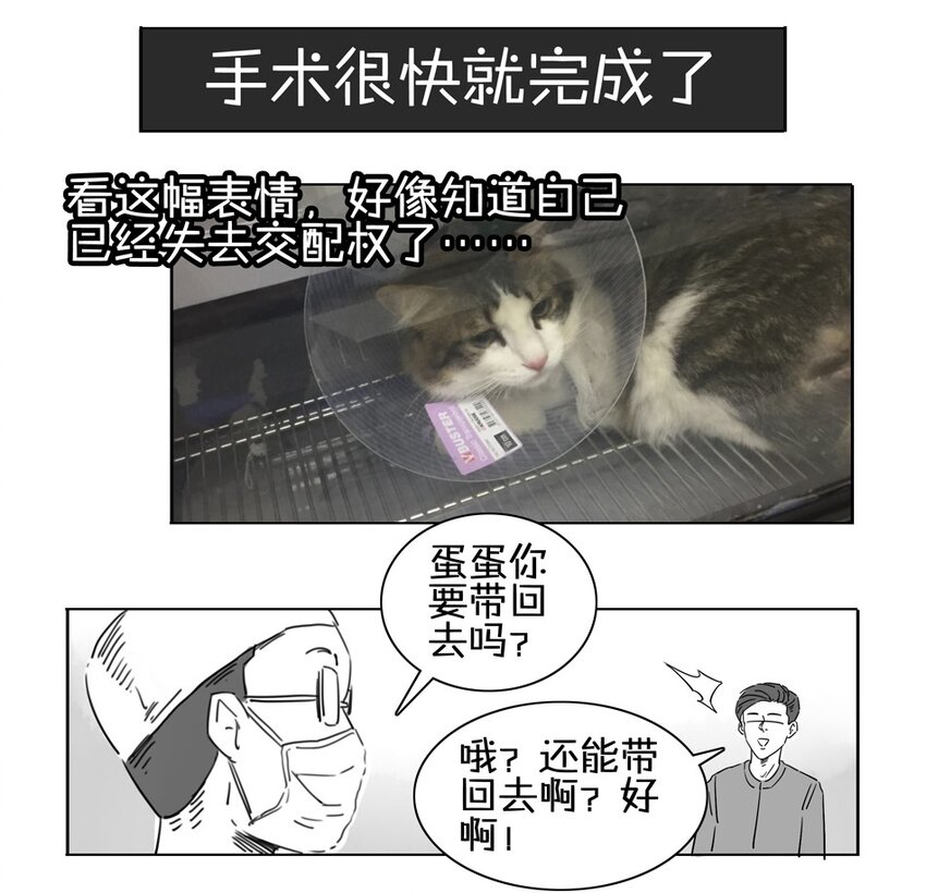杀手古德韩漫全集-900 九百话纪念无删减无遮挡章节图片 