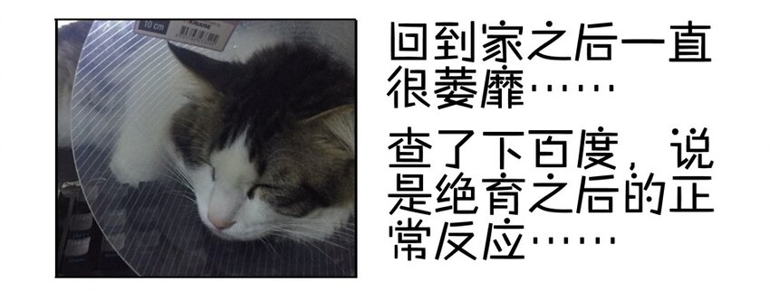 杀手古德韩漫全集-900 九百话纪念无删减无遮挡章节图片 