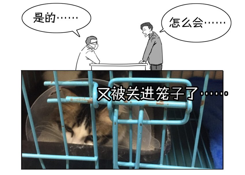 杀手古德韩漫全集-900 九百话纪念无删减无遮挡章节图片 