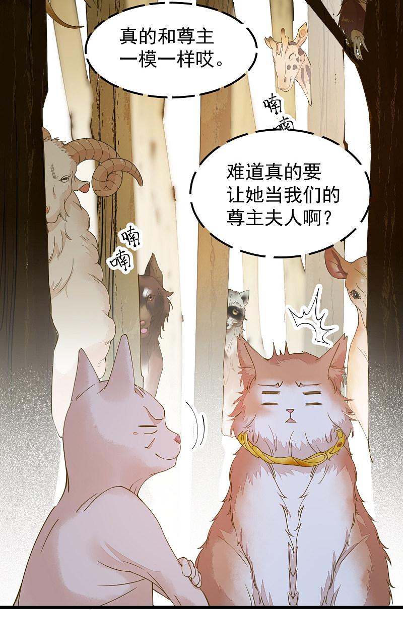 杀手王妃不好惹韩漫全集-57-她是我的猫无删减无遮挡章节图片 