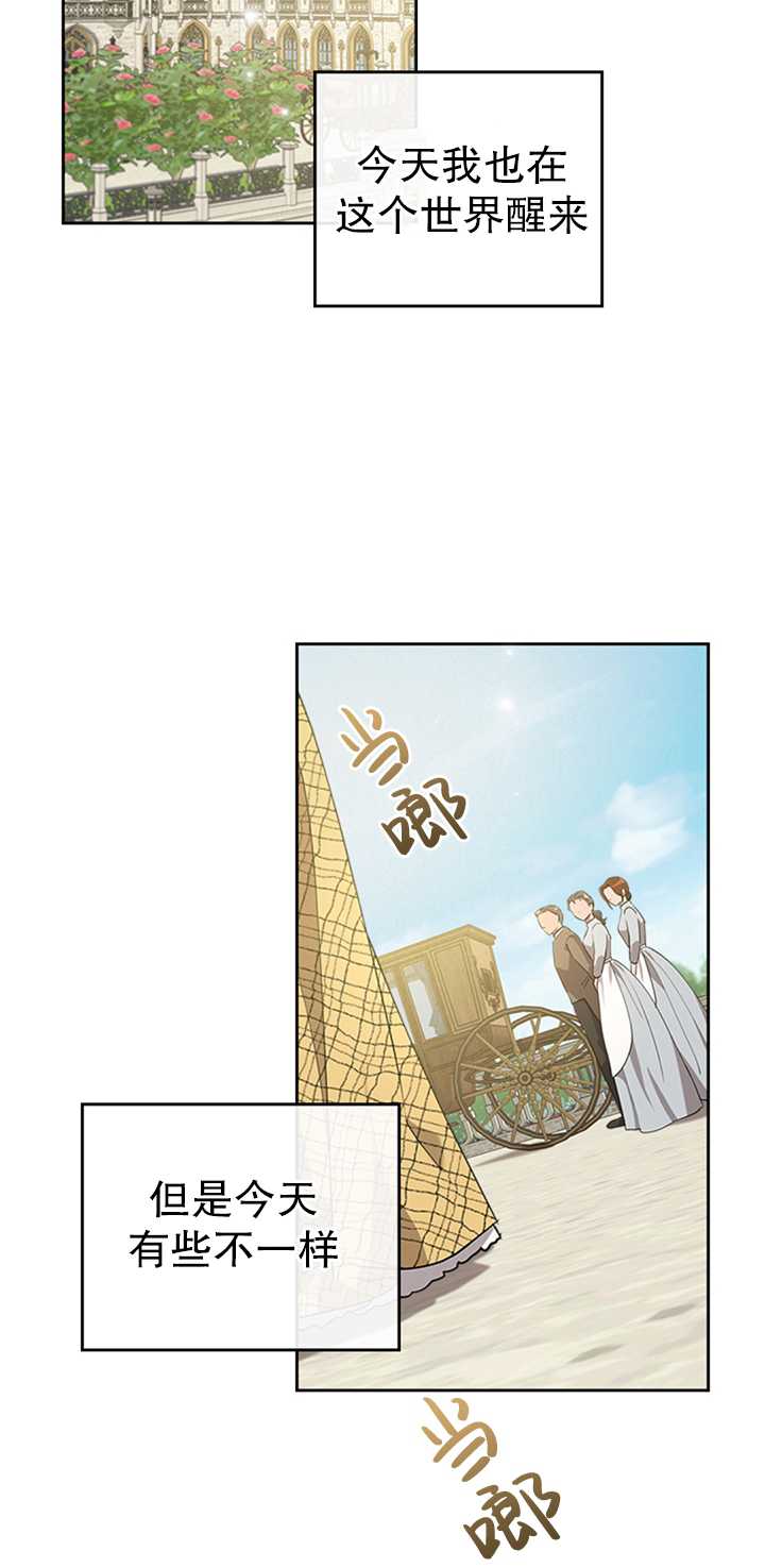 杀死恶女韩漫全集-第20话无删减无遮挡章节图片 