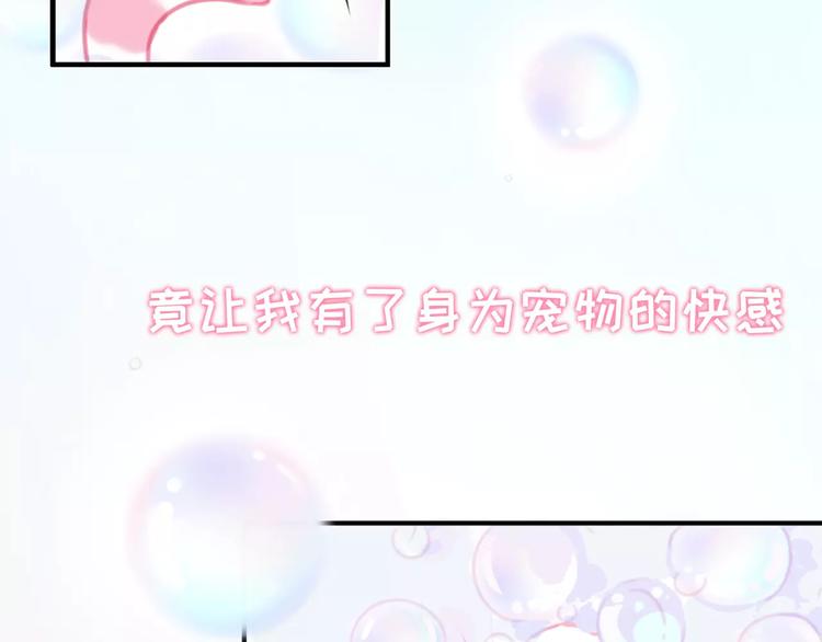 社会喵韩漫全集-序章 我的宠物是人类（喵~）无删减无遮挡章节图片 