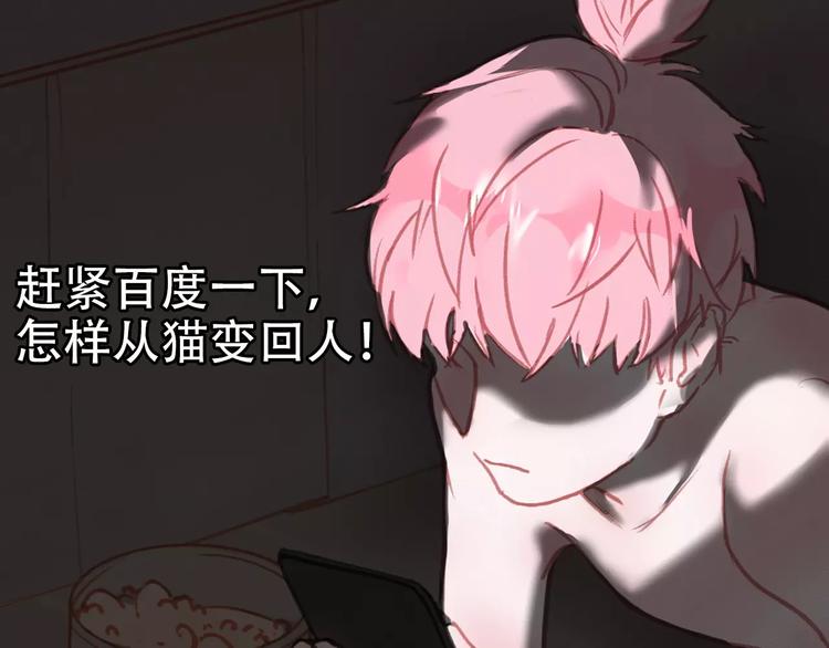 社会喵韩漫全集-序章 我的宠物是人类（喵~）无删减无遮挡章节图片 