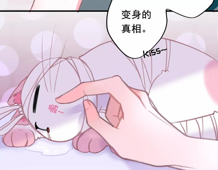 社会喵韩漫全集-序章 我的宠物是人类（喵~）无删减无遮挡章节图片 