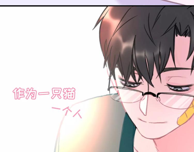 社会喵韩漫全集-序章 我的宠物是人类（喵~）无删减无遮挡章节图片 