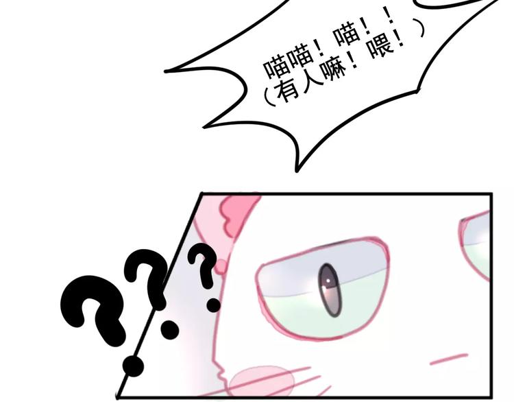 社会喵韩漫全集-第1话 从天而降的萌宠无删减无遮挡章节图片 