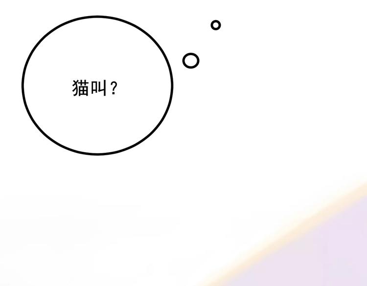 社会喵韩漫全集-第1话 从天而降的萌宠无删减无遮挡章节图片 