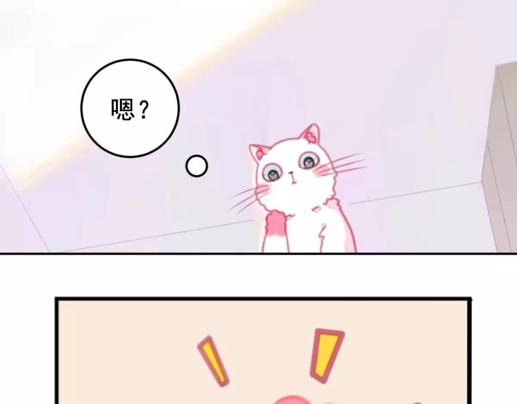 社会喵韩漫全集-第1话 从天而降的萌宠无删减无遮挡章节图片 