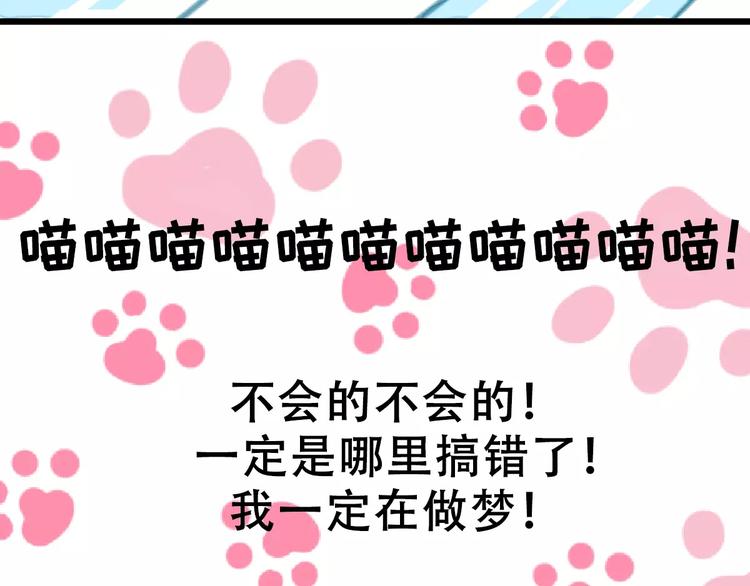 社会喵韩漫全集-第1话 从天而降的萌宠无删减无遮挡章节图片 