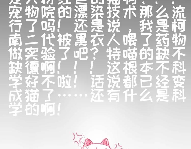 社会喵韩漫全集-第1话 从天而降的萌宠无删减无遮挡章节图片 