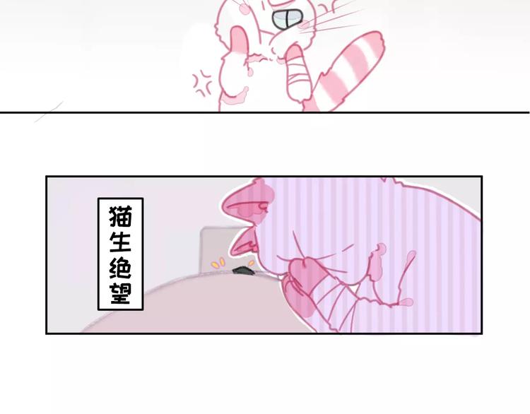 社会喵韩漫全集-第1话 从天而降的萌宠无删减无遮挡章节图片 